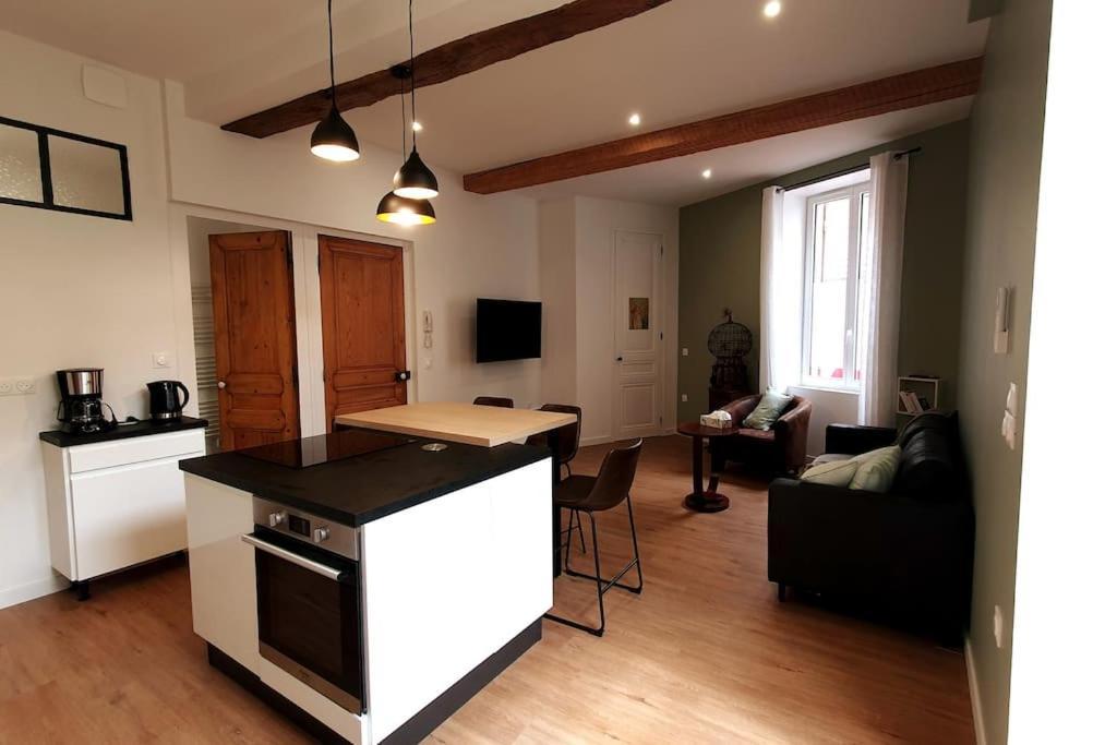 Classe 4 Etoiles - Cybele - Centre Ville 2 Chambres, Cour Privative Et Garage Vienne  Eksteriør billede