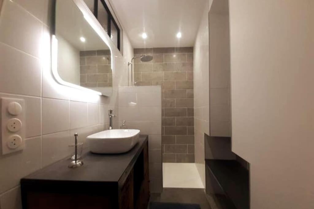 Classe 4 Etoiles - Cybele - Centre Ville 2 Chambres, Cour Privative Et Garage Vienne  Eksteriør billede