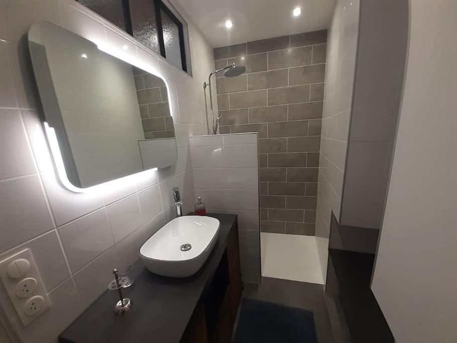 Classe 4 Etoiles - Cybele - Centre Ville 2 Chambres, Cour Privative Et Garage Vienne  Eksteriør billede