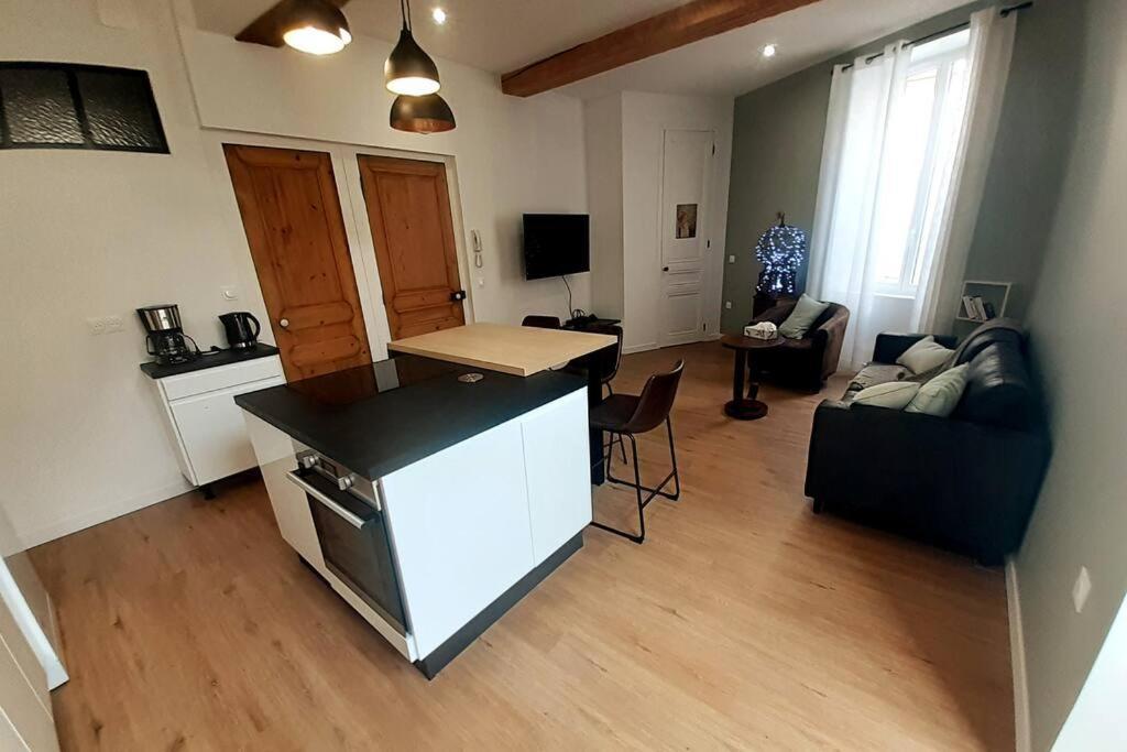 Classe 4 Etoiles - Cybele - Centre Ville 2 Chambres, Cour Privative Et Garage Vienne  Eksteriør billede